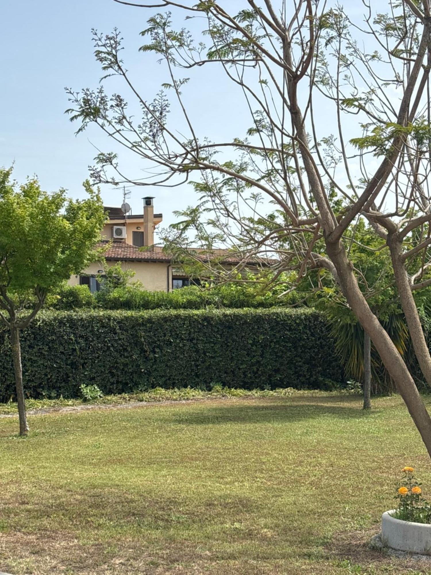 Villa Laregina Grisolia Ngoại thất bức ảnh